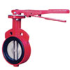 Wafer Butterfly Valve