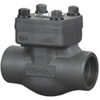 Bolt Type Swing Check Valve 