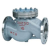 DIN Lift Check Valve