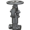 Pressure-Seal Globe Valve