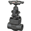 Bolt Globe Valve
